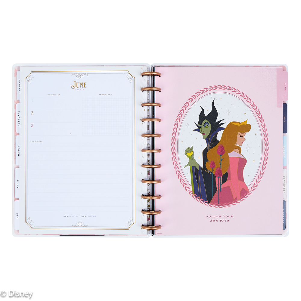 2025 Disney Sleeping Beauty 65th Anniversary Planner - Big Vertical Layout - 12 Months