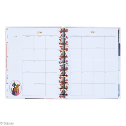 2025 Disney Sleeping Beauty 65th Anniversary Planner - Big Vertical Layout - 12 Months