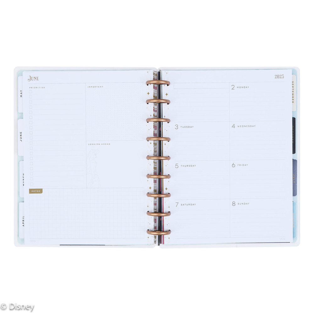 2025 Disney Sleeping Beauty 65th Anniversary Planner - Classic Dashboard Layout - 12 Months