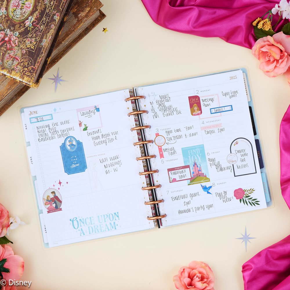 2025 Disney Sleeping Beauty 65th Anniversary Planner - Classic Dashboard Layout - 12 Months