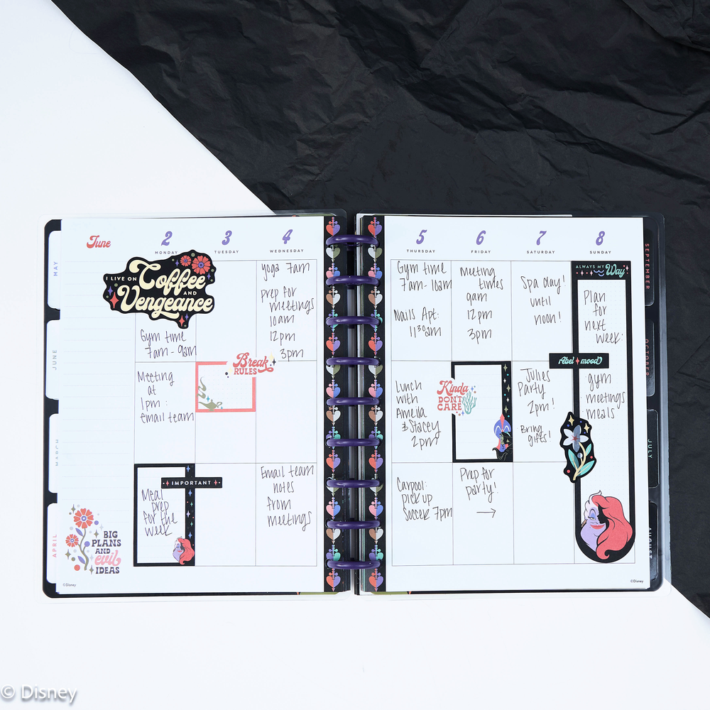 2025 Disney Snow White vs. The Evil Queen Planner - Classic Vertical Layout - 12 Months