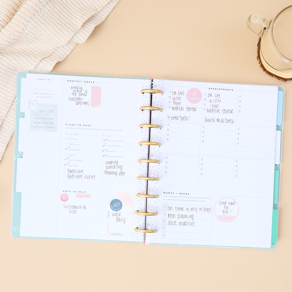 Undated Hello Little One Baby Planner - Classic Baby's First Year Layout - 12 Months